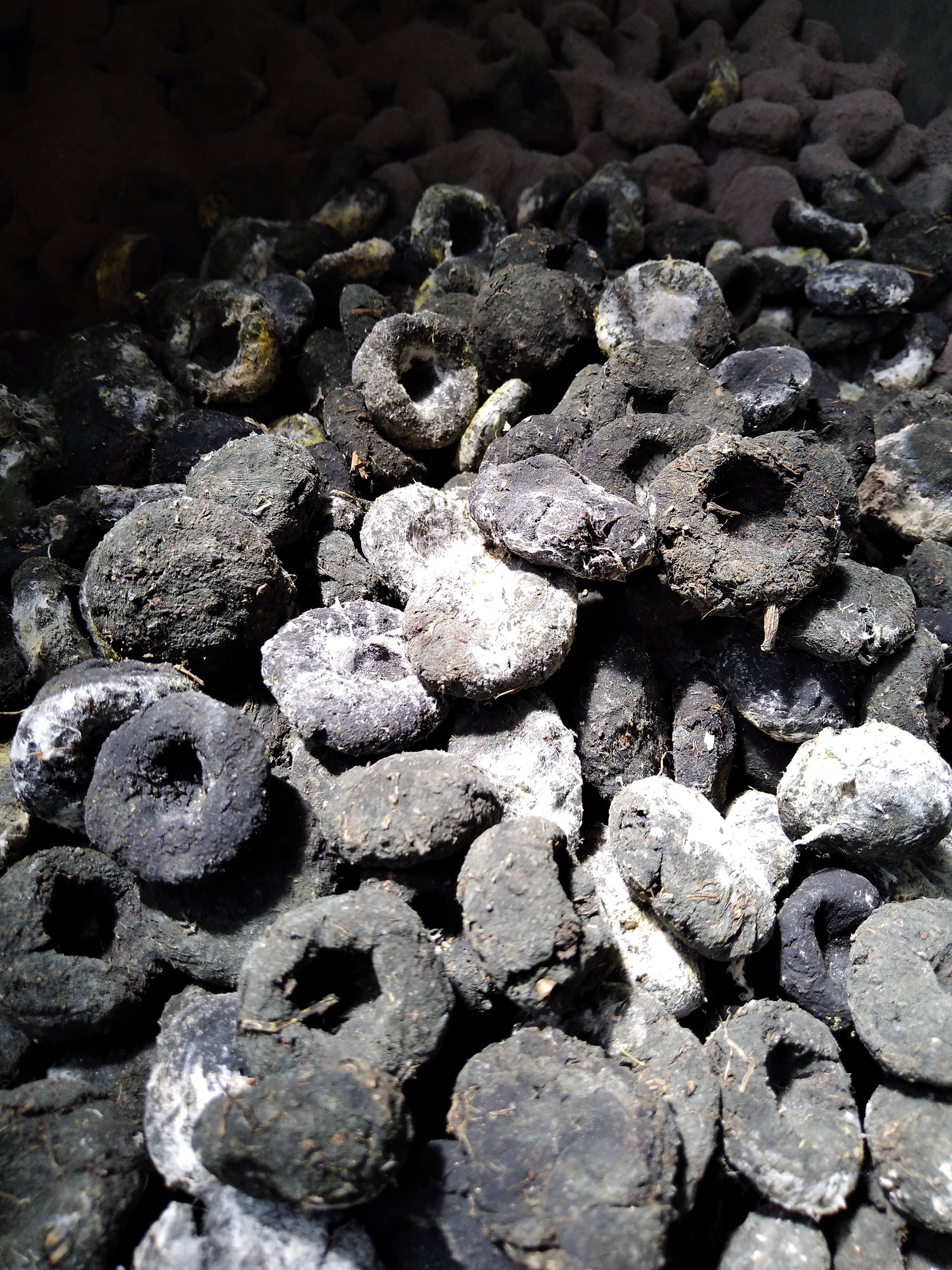 正藍冷染×栗駒商店 ストール 【無地 オーガニックコットン