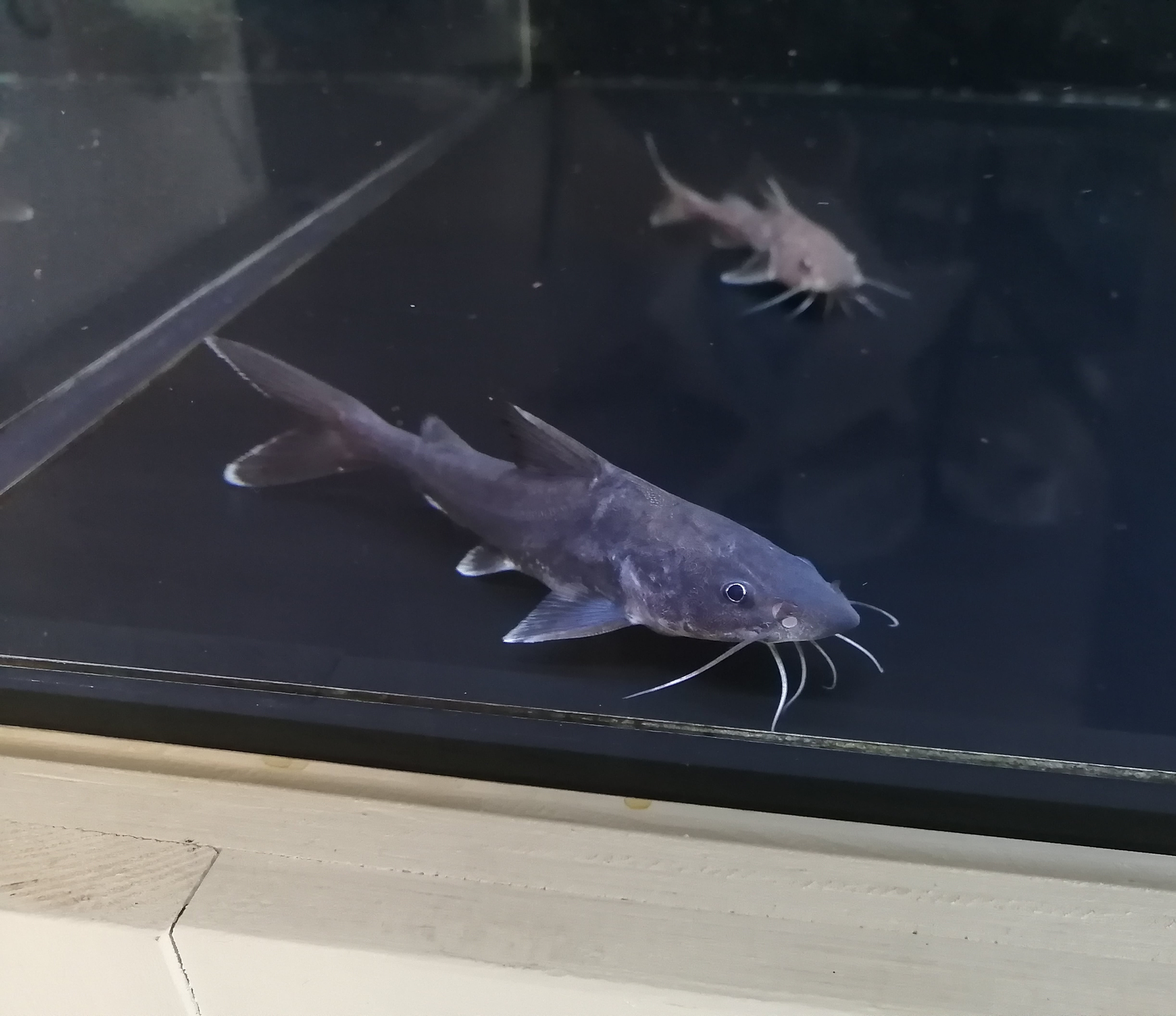 cf600d8e38d9aa571d2c2f816f44cd