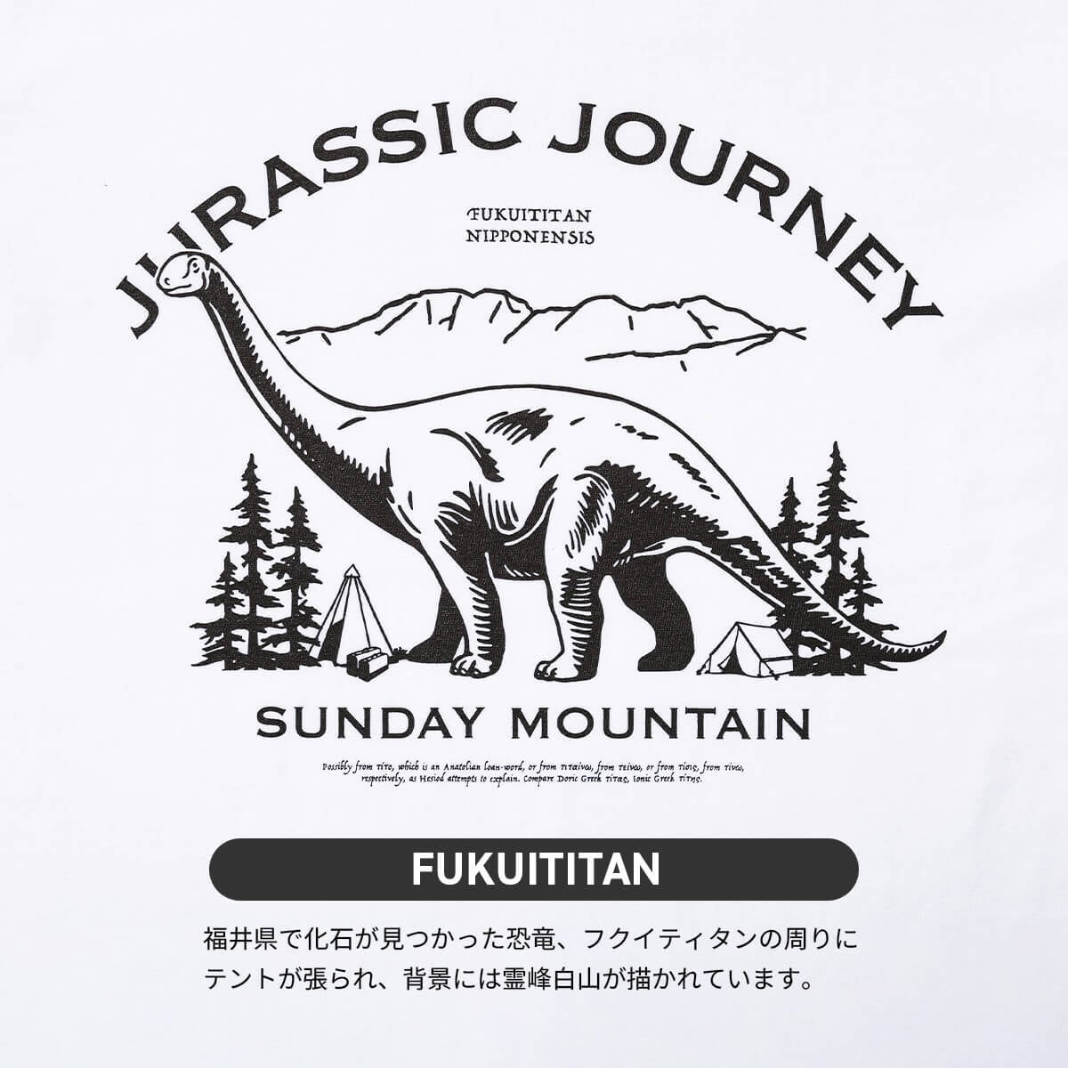 ⭐️woodland⭐️インディアンジェリー POWWOW（パウワウ） － インディアンジュエリー＆ターコイズ