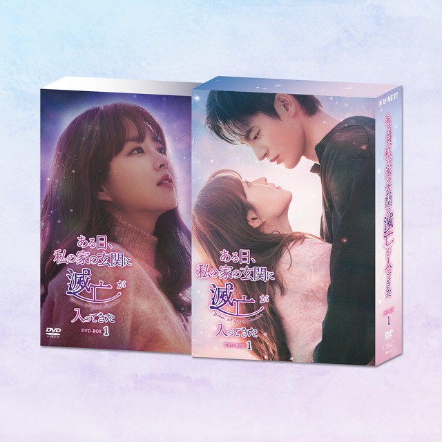 「ある日、私の家の玄関に滅亡が入ってきた」DVD-BOX１