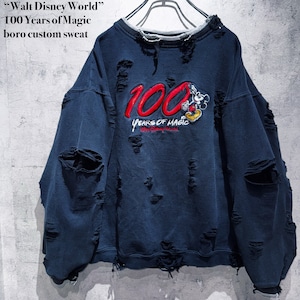“Walt Disney World” 100 Years of Magic boro custom sweat