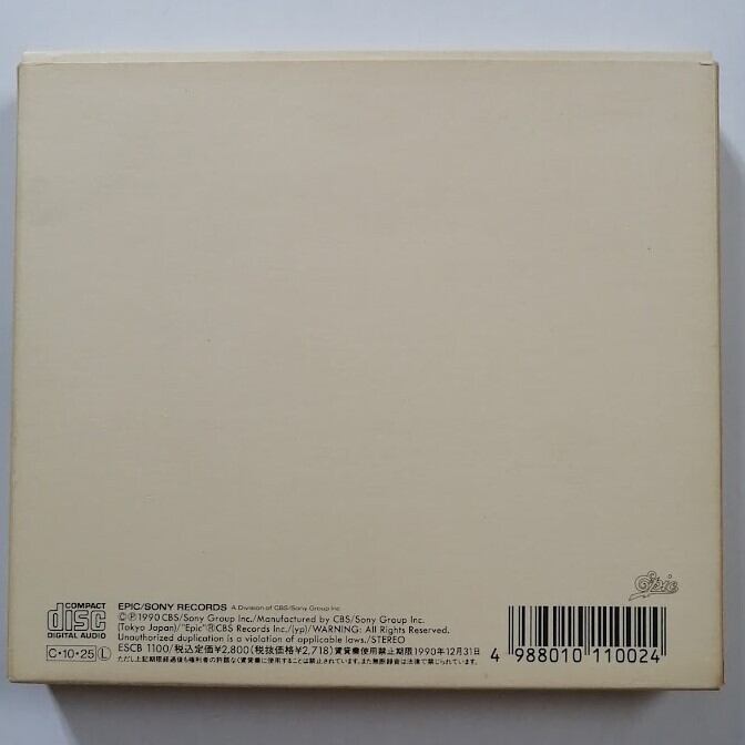 TM NETWORK TMN ティーエム ネットワーク RHYTHM RED リズム レッド