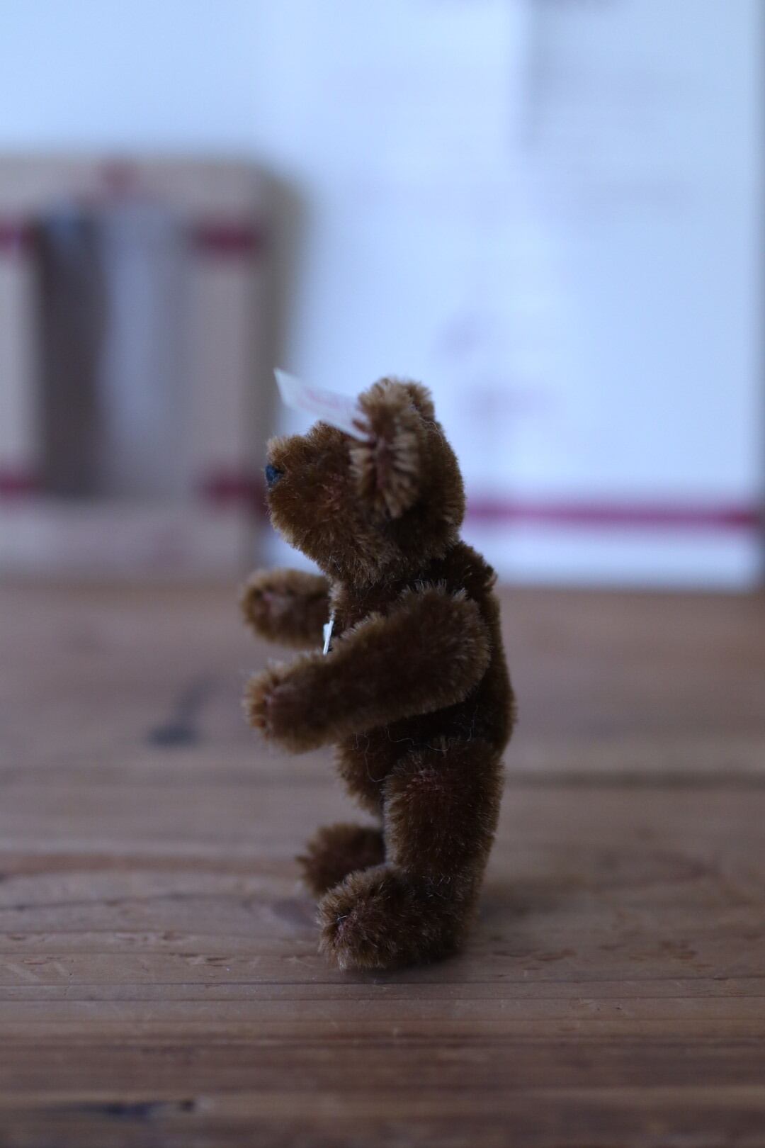 ヴィンテージ シュタイフクラブ テディベア SteiffClub1999