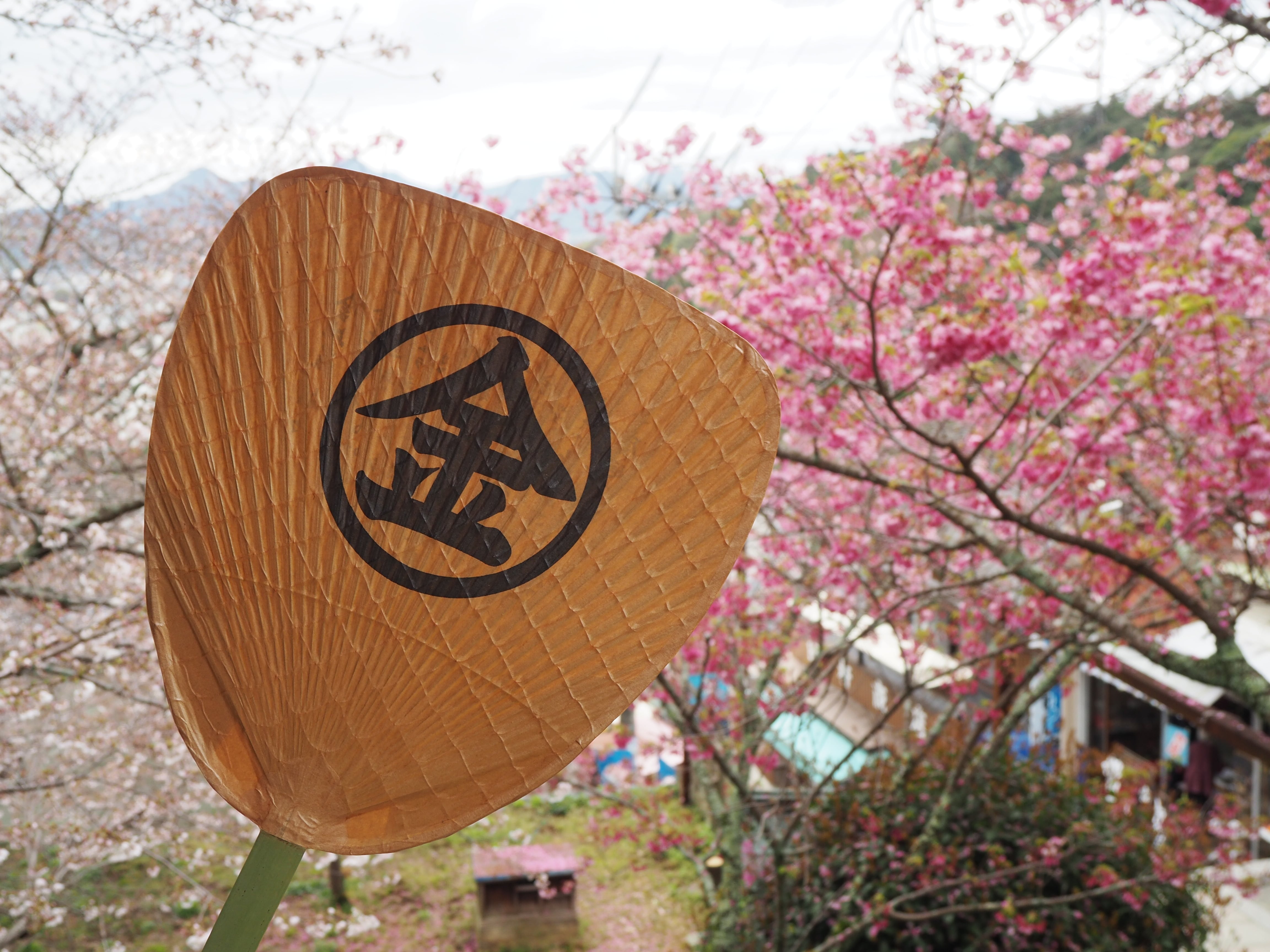 MU017 丸亀うちわ 渋うちわ 金 大 Shibu Uchiwa Marukon (coated with
