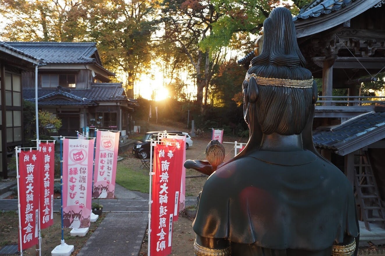古布　神社　のぼり　幟　弘法大師　仏教美術　襤褸　南無弘法大師　骨董　鎮守大神 御奉納のぼり旗】南無大師遍照金剛 | 天王山 安楽寺