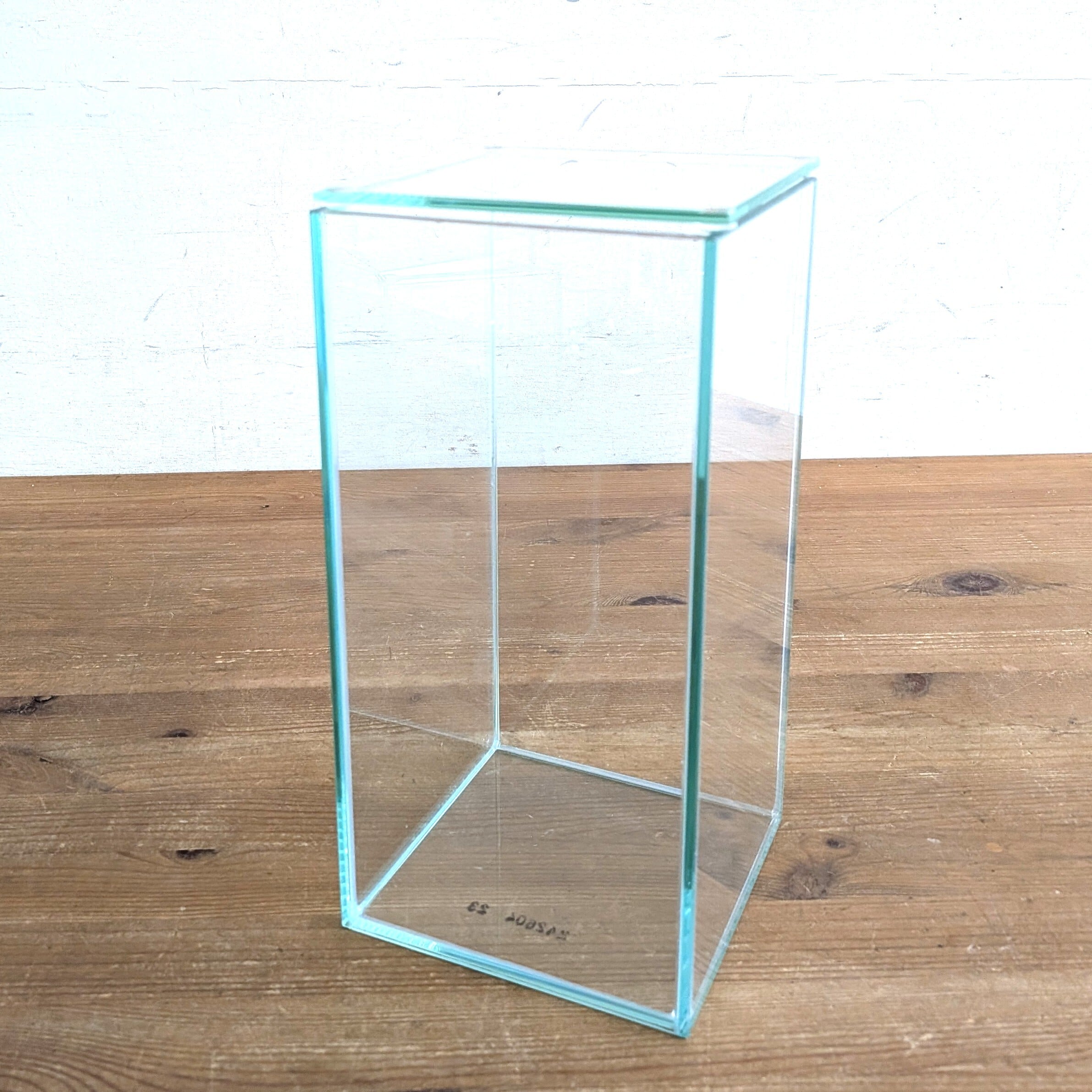 ガラス容器】フィット100×100High（10×10×高さ20㎝）◇高さのあるコケ