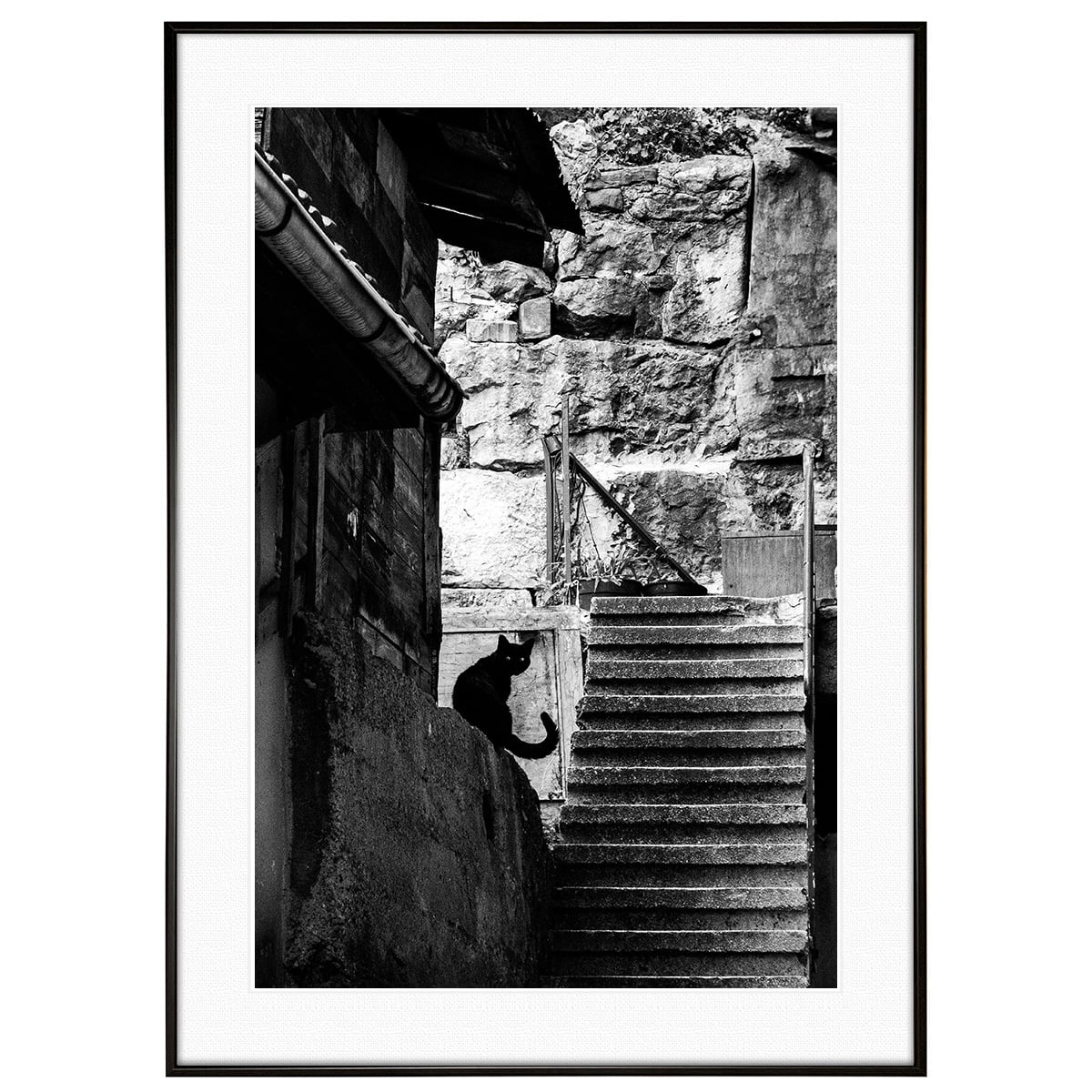 動物写真 街中の黒猫 インテリア モノクロアートポスター額装 AS4727