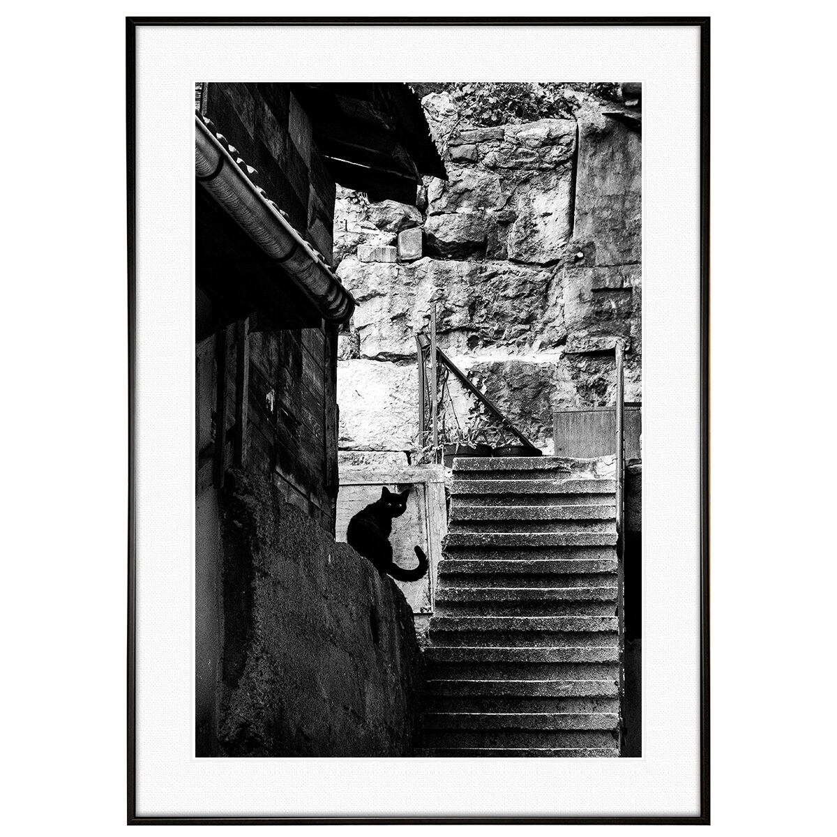 動物写真 街中の黒猫 インテリア モノクロアートポスター額装 AS4727