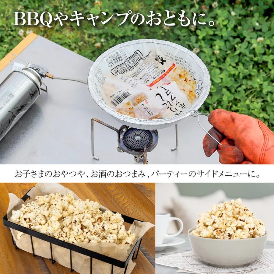 ほりにし ポップコーン 67g アウトドアフード BBQ キャンプ おやつ