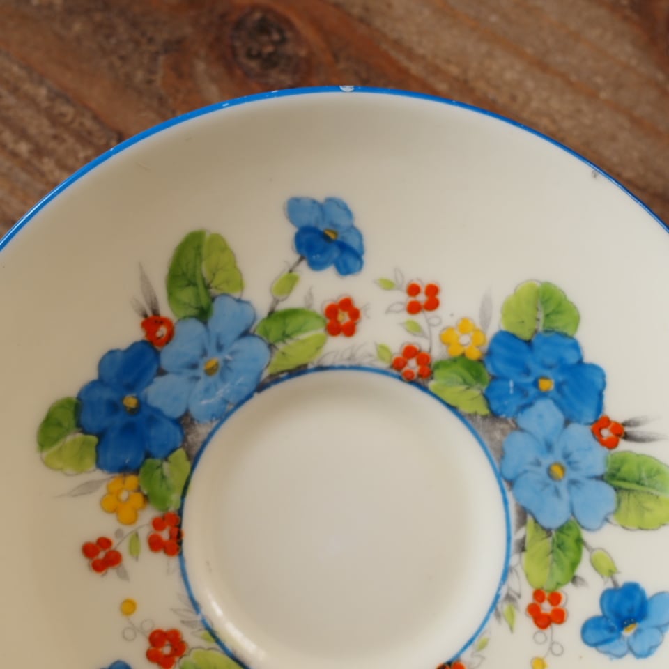 訳あり【英国Paragon】パラゴン プリムローズボーダー フラワー