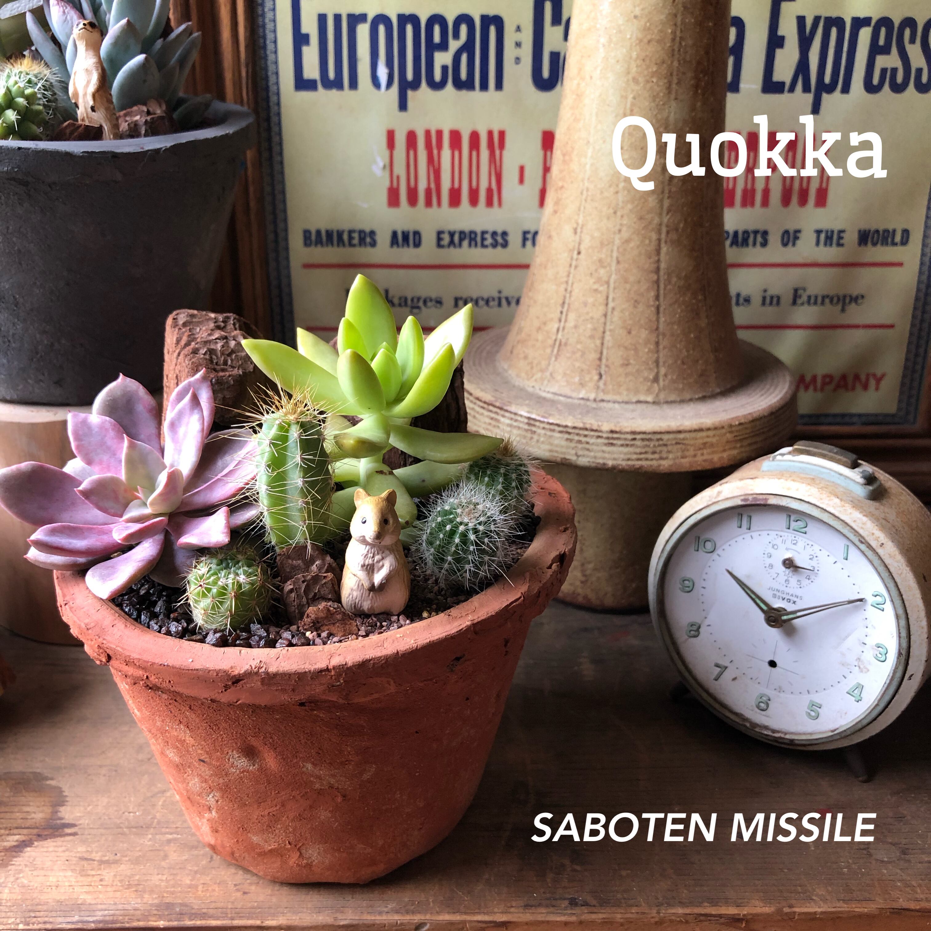 Quokka クアッカワラビー | SABOTEN MISSILE