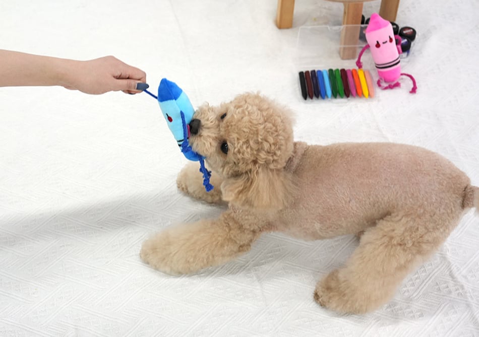 crayon toy / ペット 犬 おもちゃ 噛む 音が鳴る ロープ 知育玩具 鳴き笛入り 可愛い わんちゃん おもちゃ ストレス解消 韓国 ペット用品 toy18