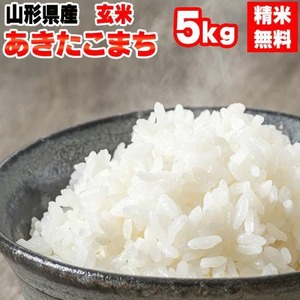 あきたこまち 精米 山形県産 乾式無洗米 ５Kｇ/袋 送料無料