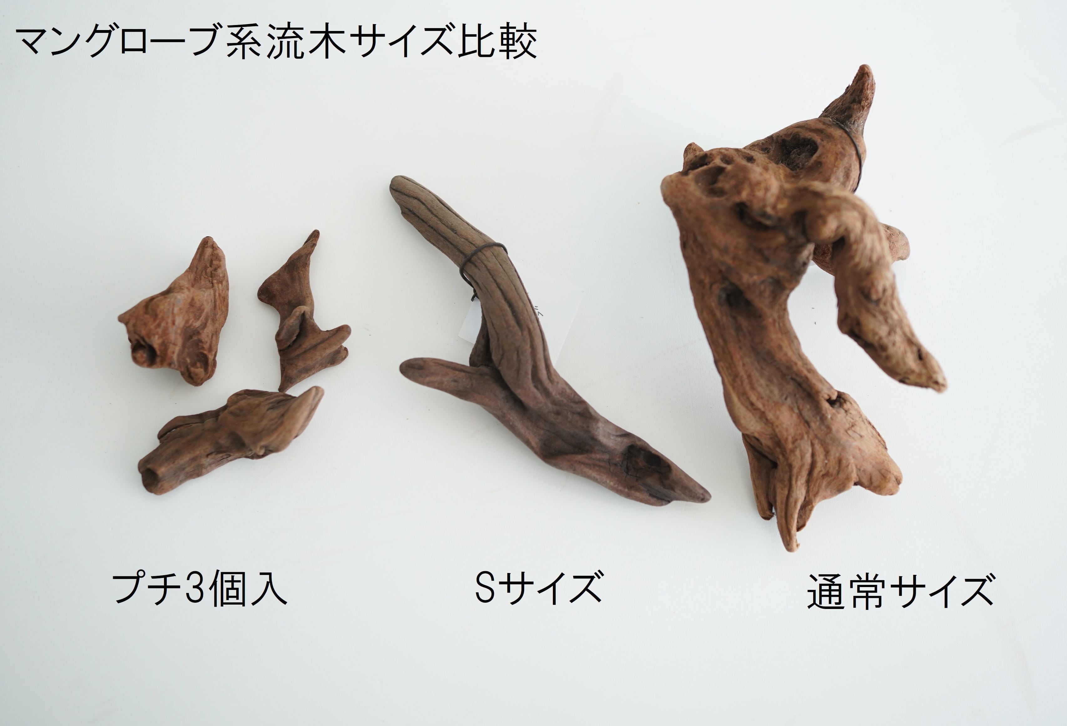 テラリウム用マングローブ系流木【プチサイズ3個入り】◇形状お任せ