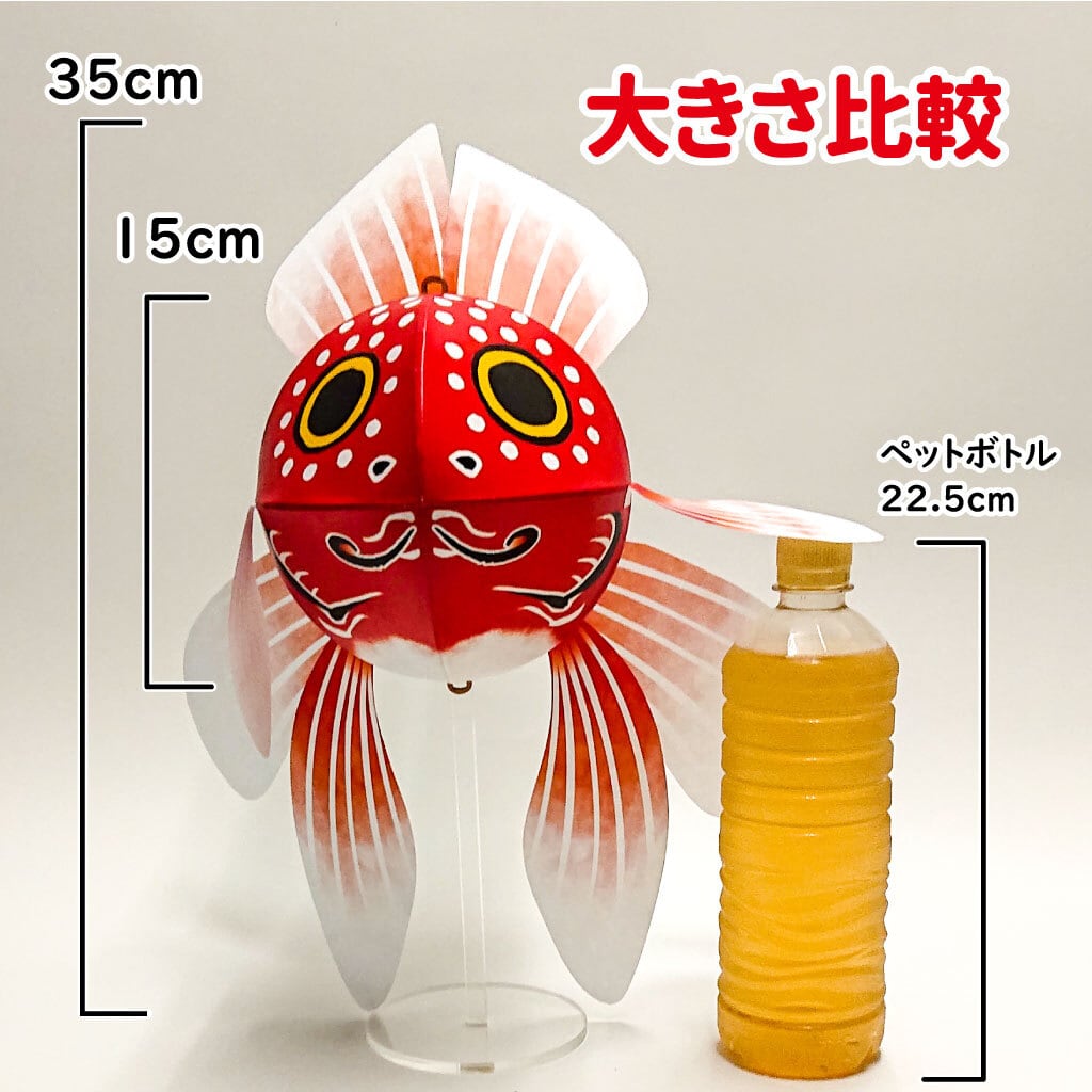 金魚ねぷた クラフトキット（M）「津軽錦」の優雅な尾びれを再現しま