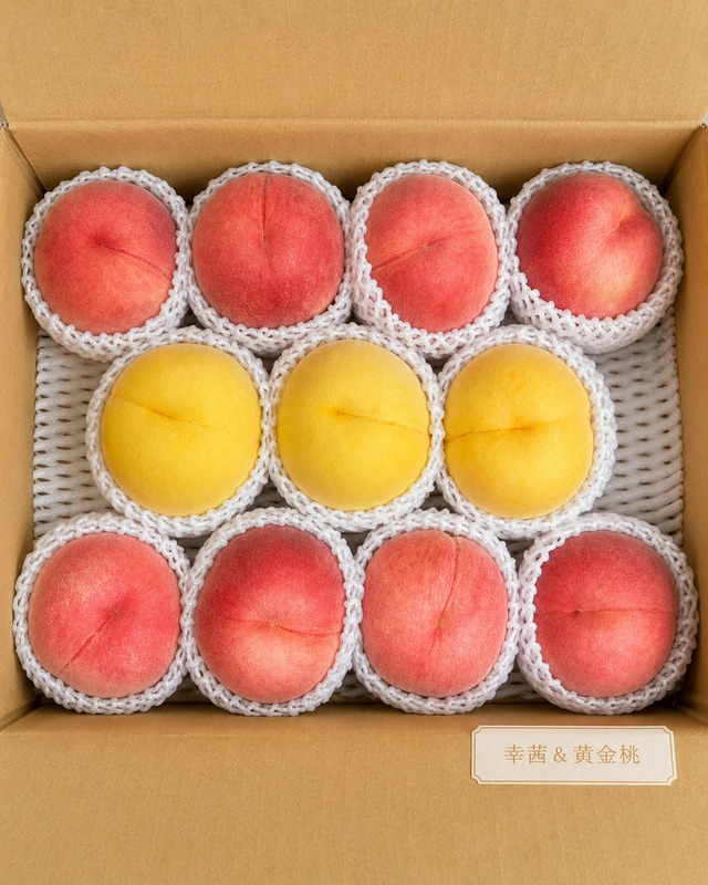 【びたみんセレクト】ご家庭用もも5kg箱入（10～15玉）【山梨県産】