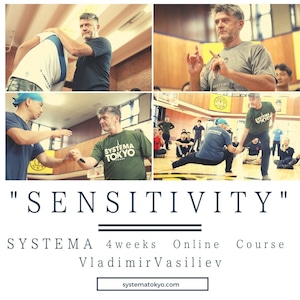 【MP4】Day1 センシティビティコース ヴラディミア・ヴァシリエフ Sensitivity course by Vladimir Vasiliev