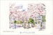 いわきひとまち百景ポストカード：福島県立磐城桜が丘高等学校