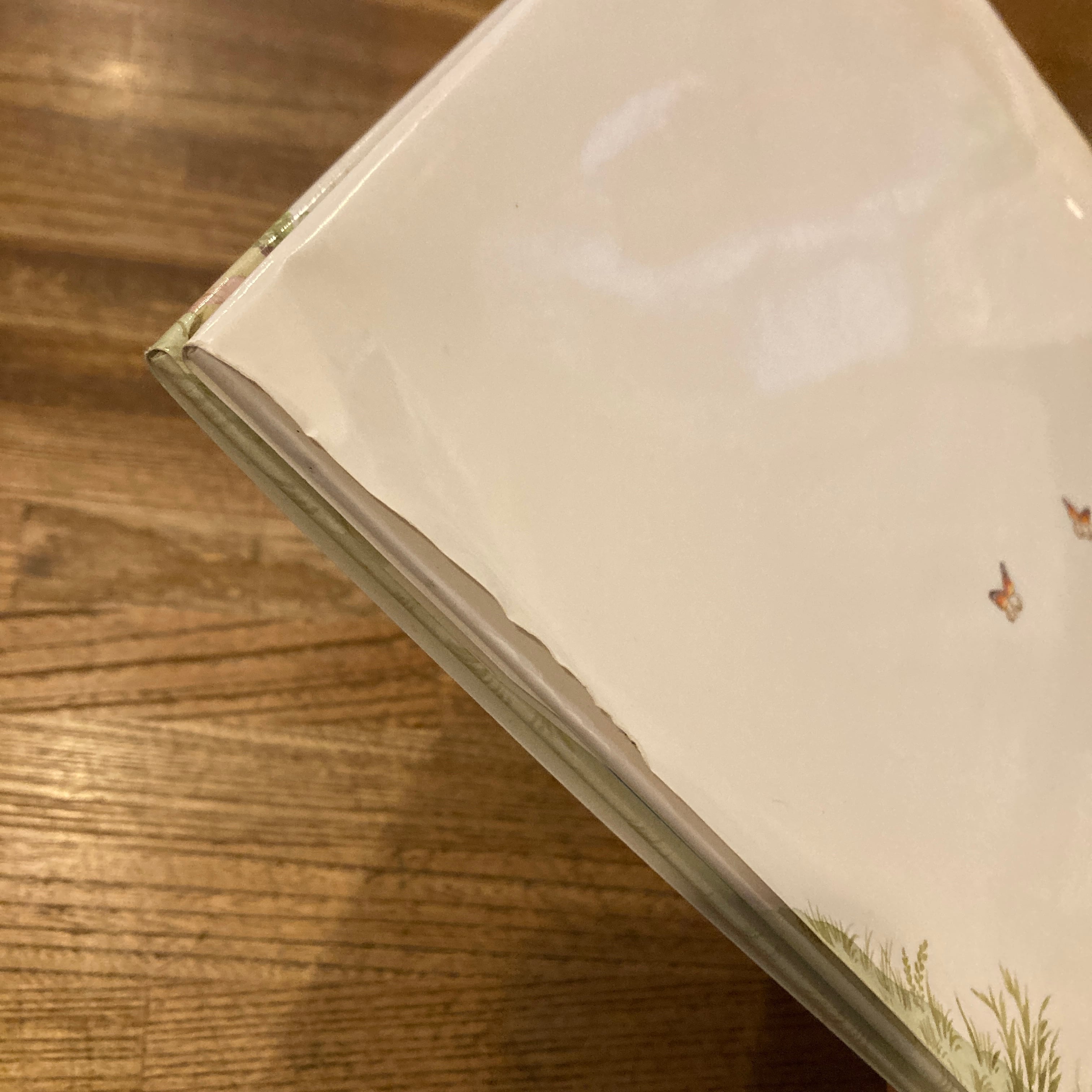 はちみついろのうま / 小風さち 作、オリガ・ヤクトーヴィチ 絵 | 百年