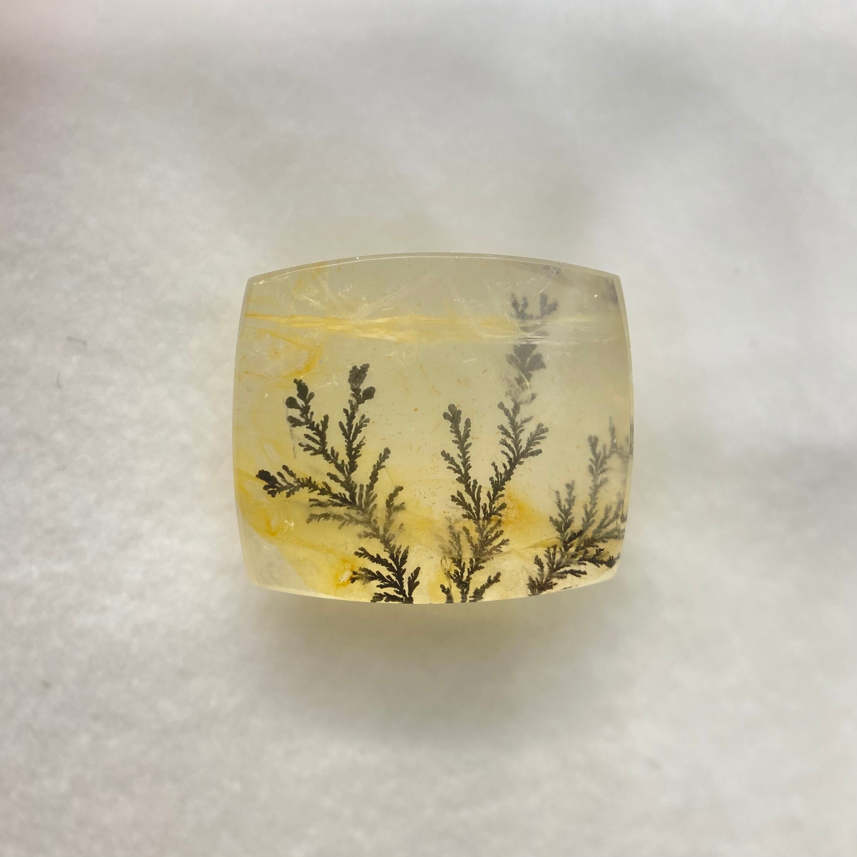 インスタライブでご紹介　デンドリティッククオーツ