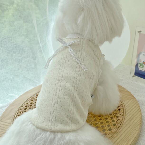 《予約》№1101843 ホワイトレーストップス