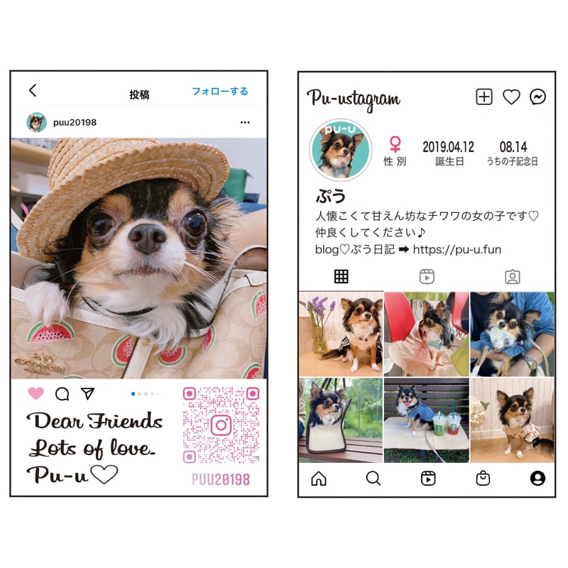 セミオーダー おしゃれ インスタ風オリジナル名刺 100枚 Ponpty ポンプティ