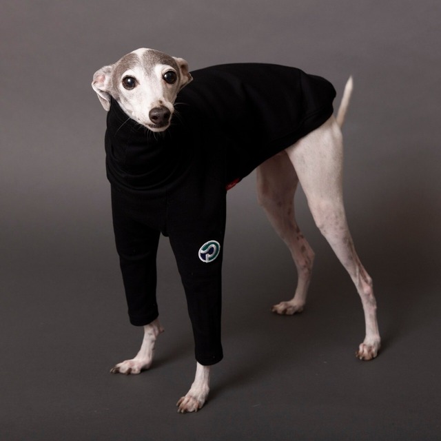 ハイネックタートルロングTシャツ　black / イタグレ服