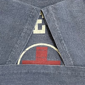 【DELTA】CAPE COD コッド岬 Tシャツ ライフガード LIFE GUARD マサチューセッツ アーチロゴ プリント ブルーグレー LARGE 半袖 夏物 デルタ US古着