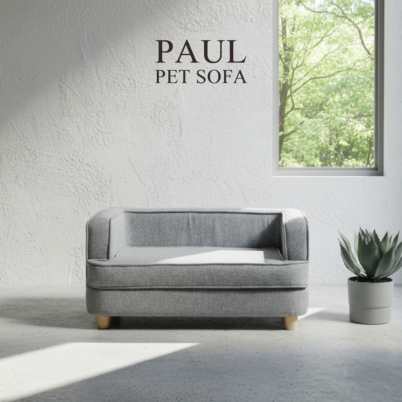 PAUL