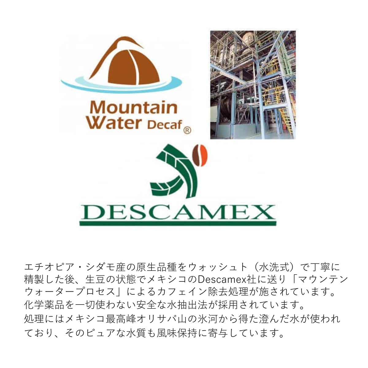 デカフェ エチオピア シダモ MWP G-2 浅煎り | SpecialtyCoffee蒼～soh～