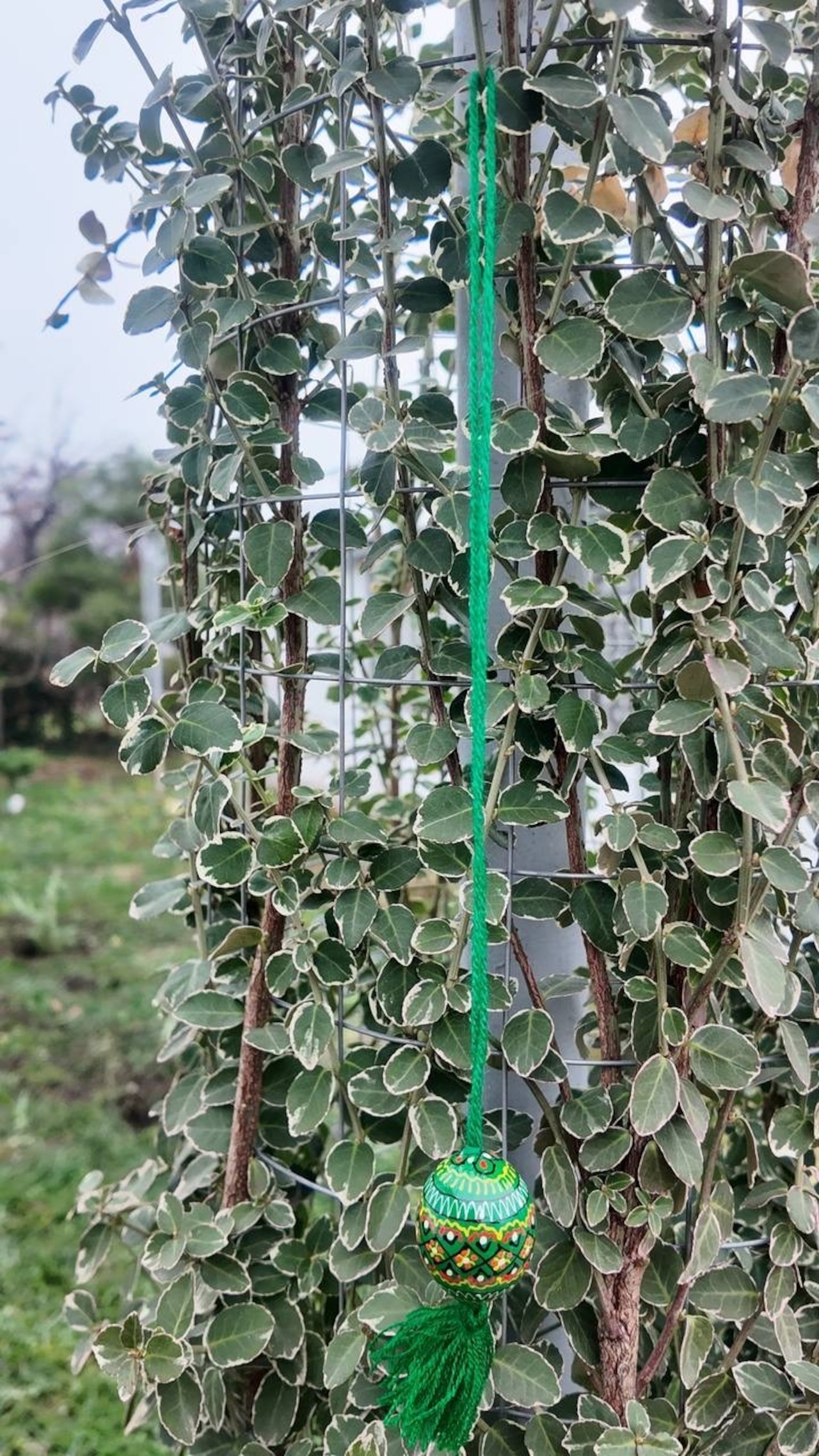 装飾用プィサンカ　小（イースターエッグ）　コロミヤ博物館モデル　 - 4