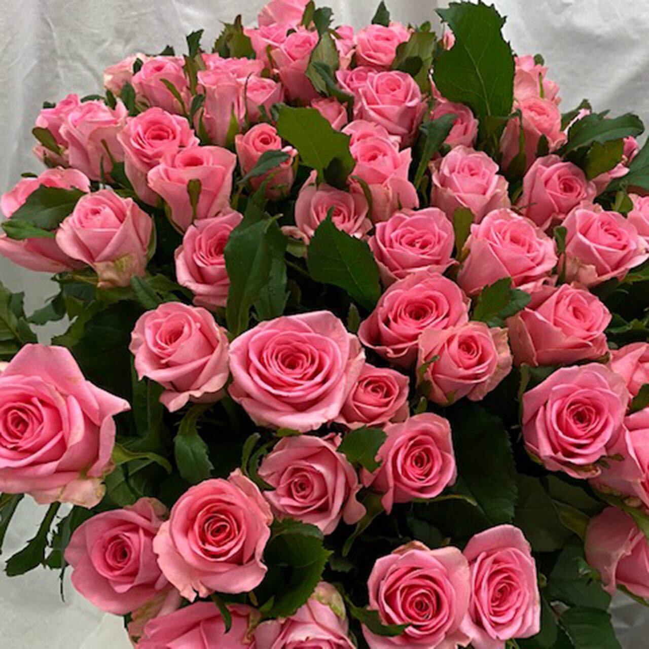 ローズピンク L(100本) サヴォンローズ 花束 | 石鹸素材のバラの花束