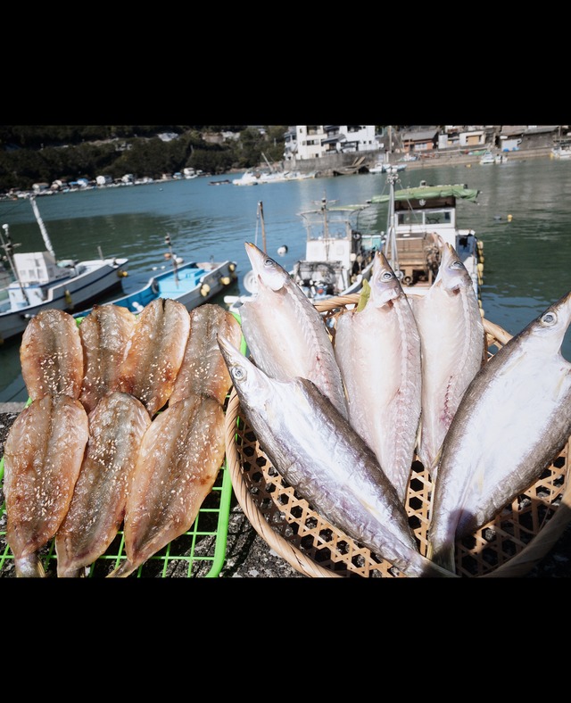 カマスセット　送料無料