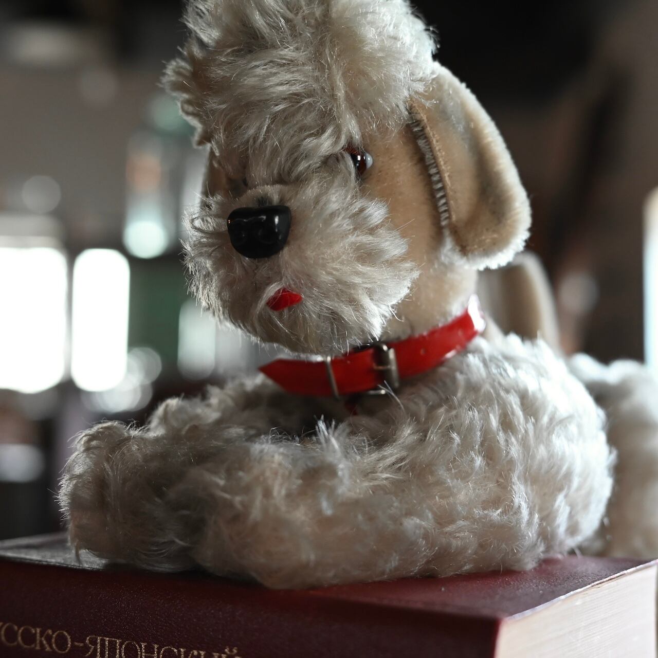 Stuffed Toy / ぬいぐるみ〈 犬・プードル・オブジェ・ディスプレイ