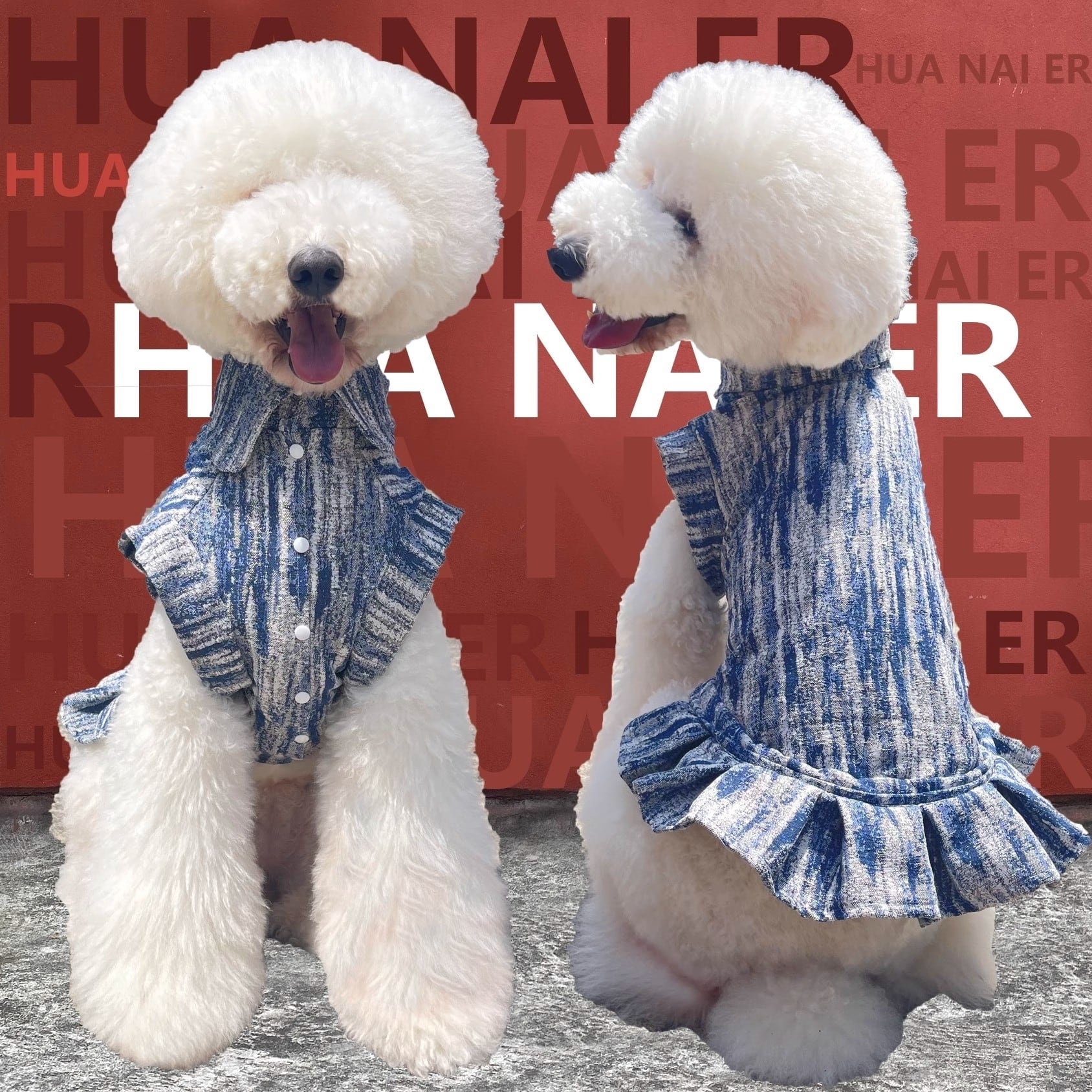 スタンダードプードル専門 カタログ | おむのおうち