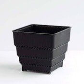 Meshpot STANDARD 10cm ブラック