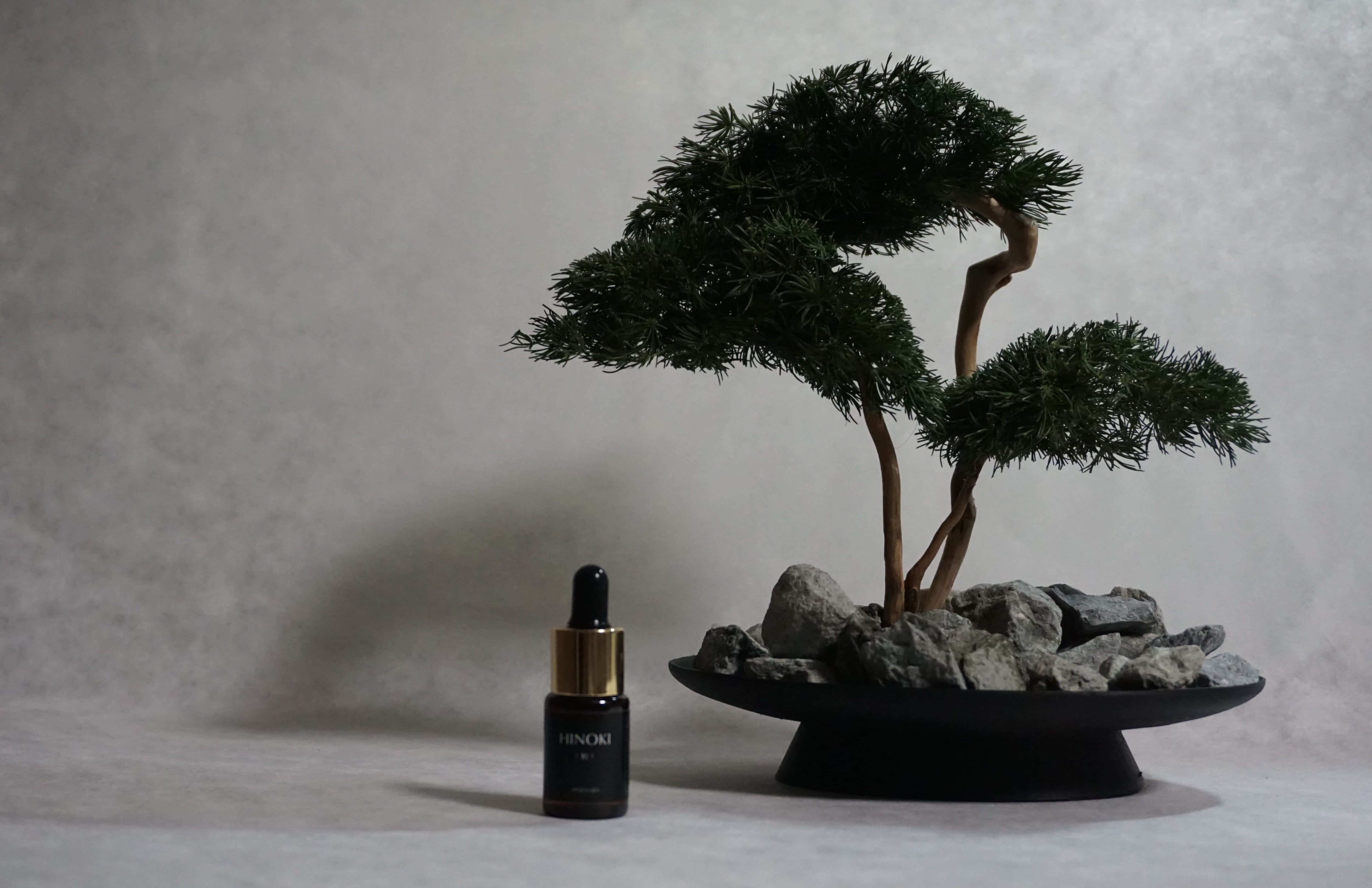 BONSAI fragrance — ストーンディフューザー | Pay ID