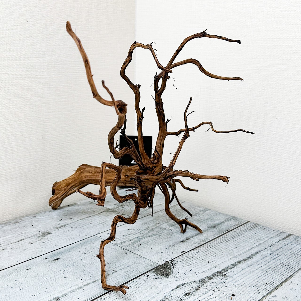 複雑な枝に目を奪われる】プレミアムブランチウッド/Branchwood