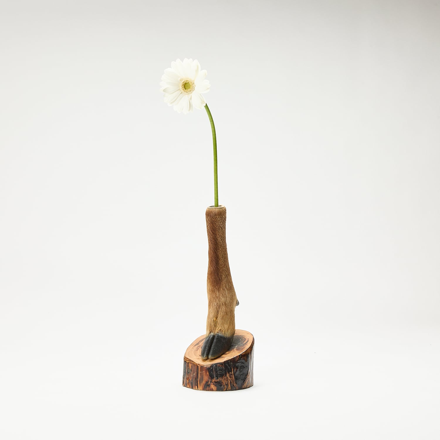 金運爆上げ　珍しい　牡鹿半島産大理石　一輪挿 一輪挿し レースガラス/金 津坂陽介作 TY_33 | web-shop MITATE