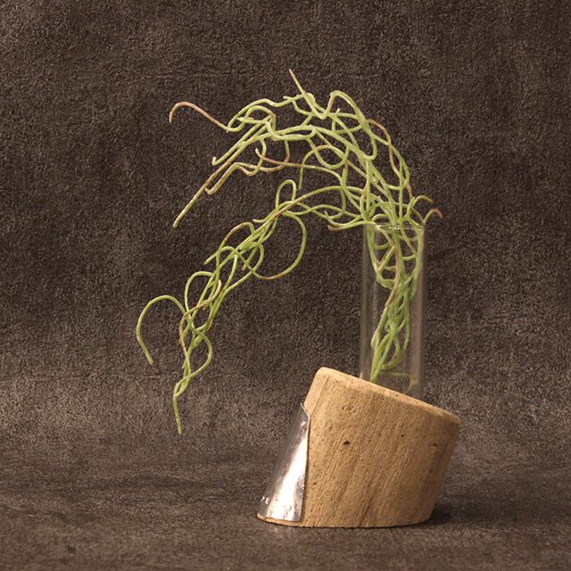 流木オブジェ RO-1003 | Pay ID