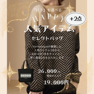 人気アイテムのセレクトHAPPY BAG【26000円相当】※数量限定  W00985