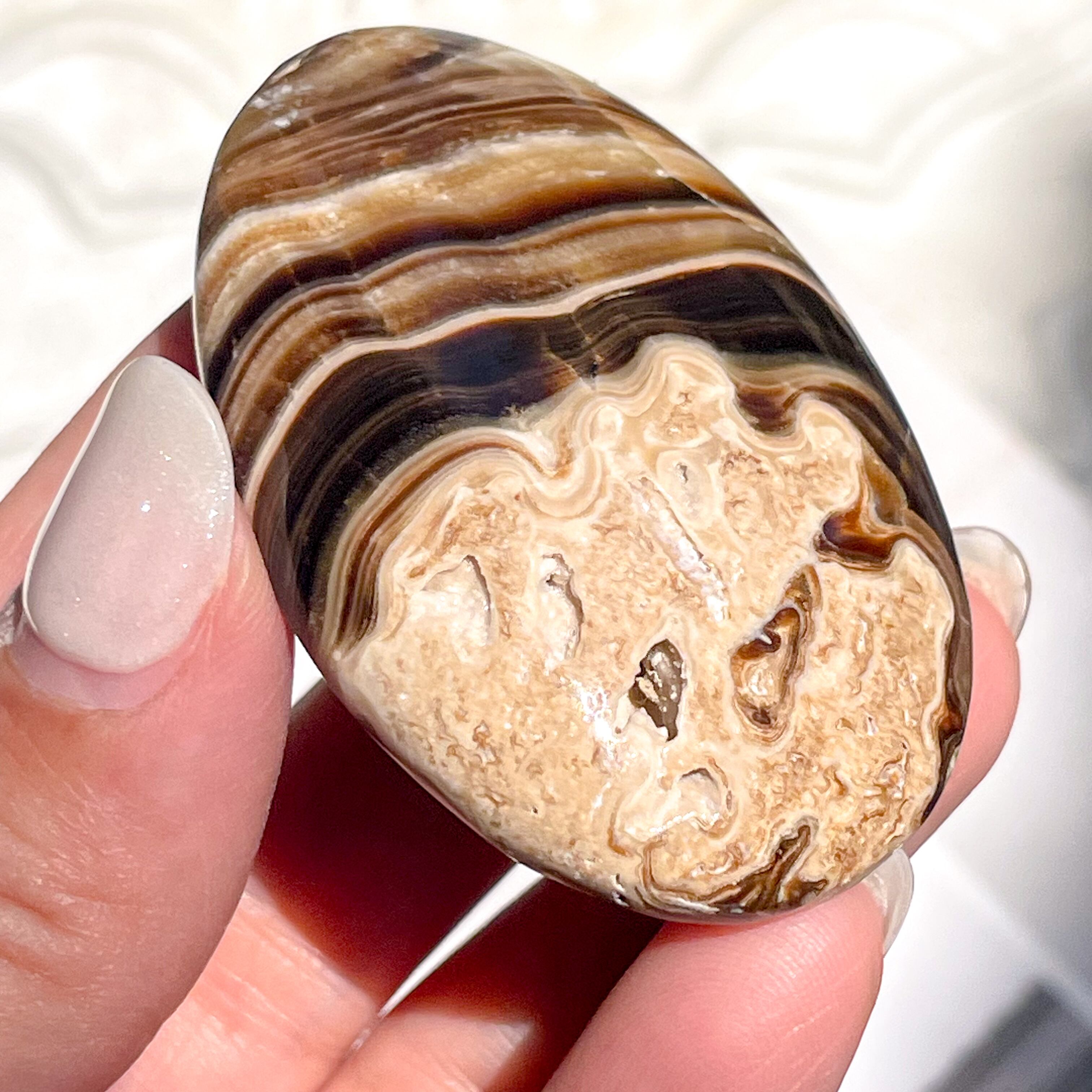 Chocolate Calcite Palm 2 ✧ チョコレートカルサイト | FLUXY