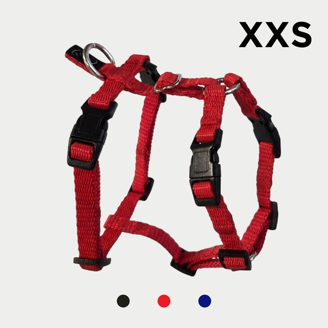 XXSサイズ｜Canuzzo ハーネス（標準バックル） | Koer（コーエル）