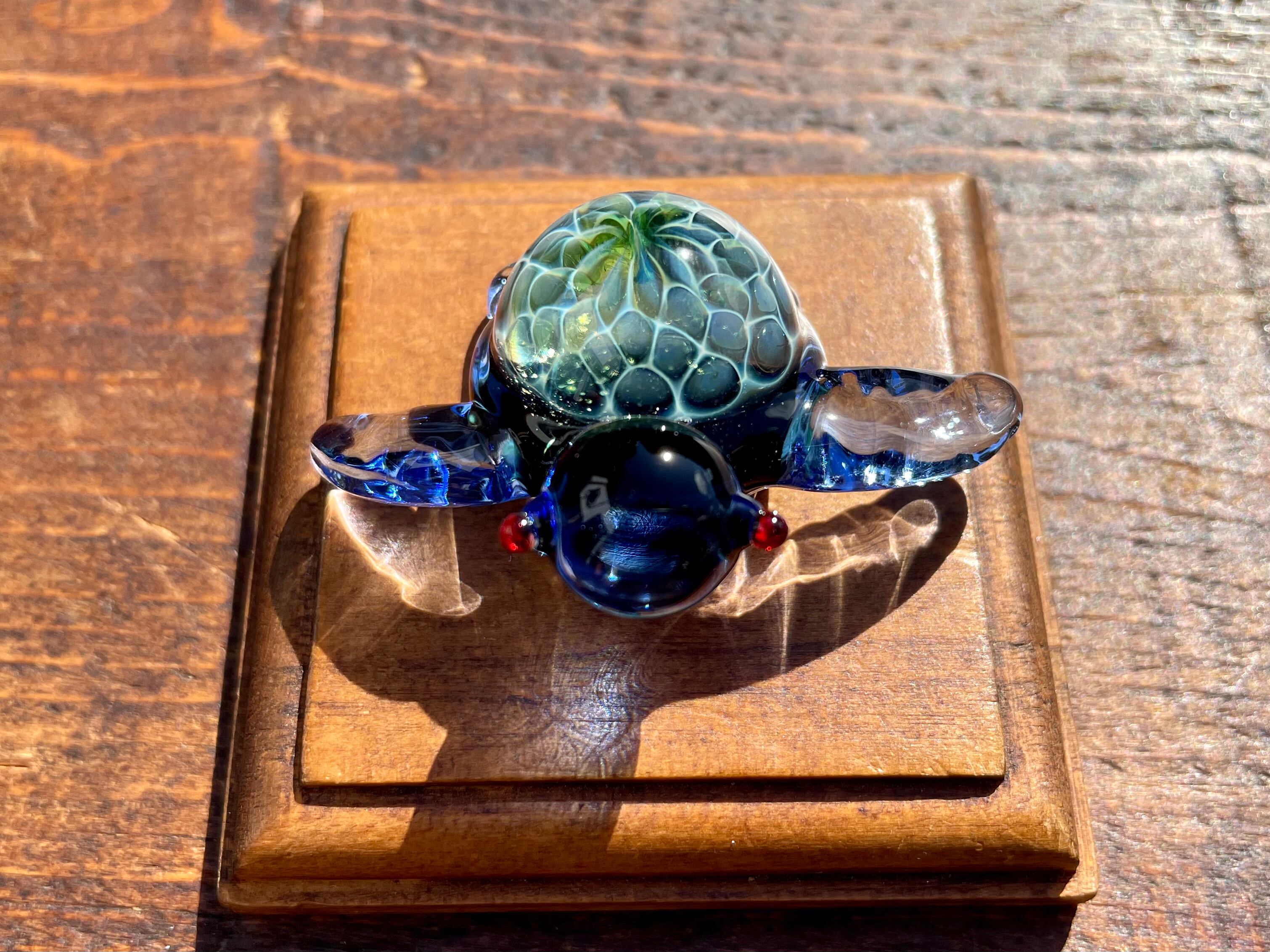 【Blue Seaturtle】〜宙亀〜