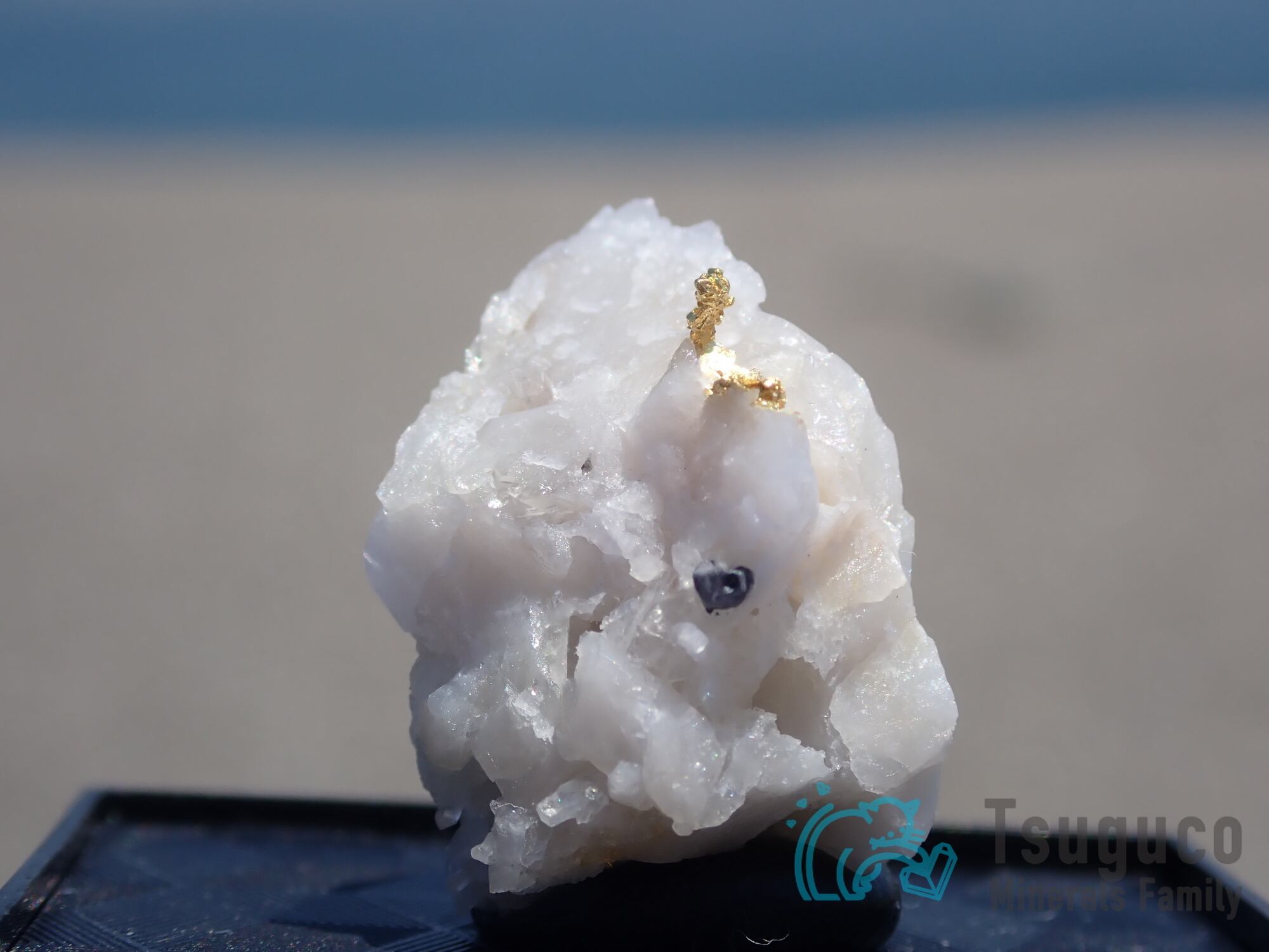 ネイティブ・ゴールド 自然金 イタリア TM-702 Seller's own