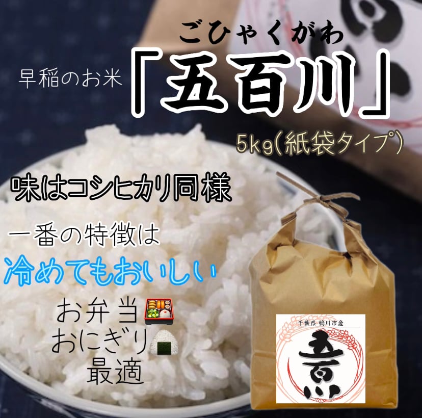 農家直送(令和4年産) 福島県中通り産コシヒカリ20kg 古米 | www.darquer.fr