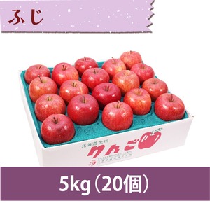 【りんご】ふじ 5kg（20個）