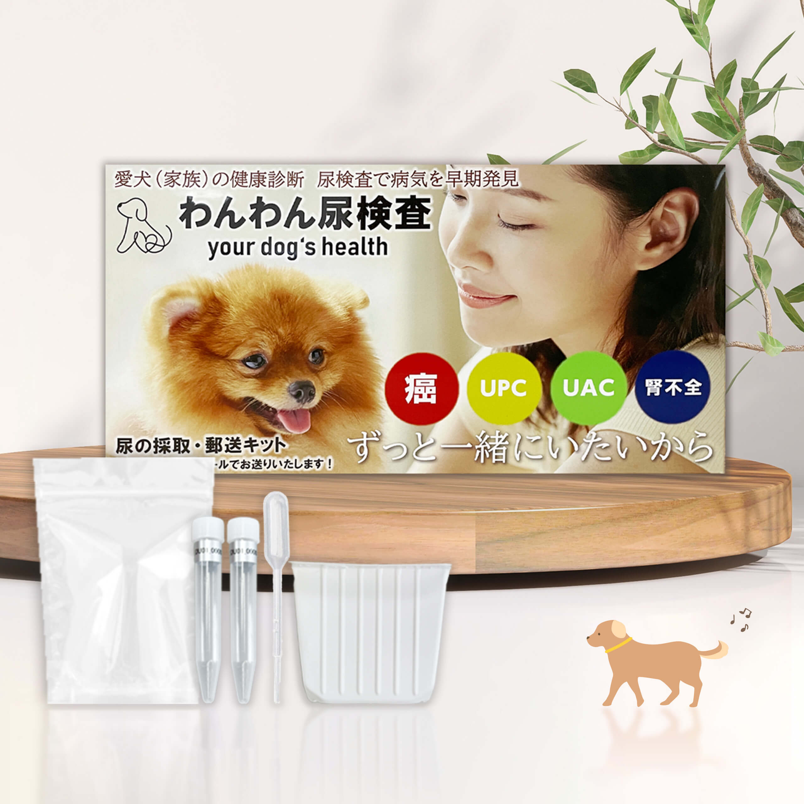 わんわん@プロフ確認 ページ ApeosPort-VII C7773/C6673/C5573/C4473/C3373/C3372/C2273