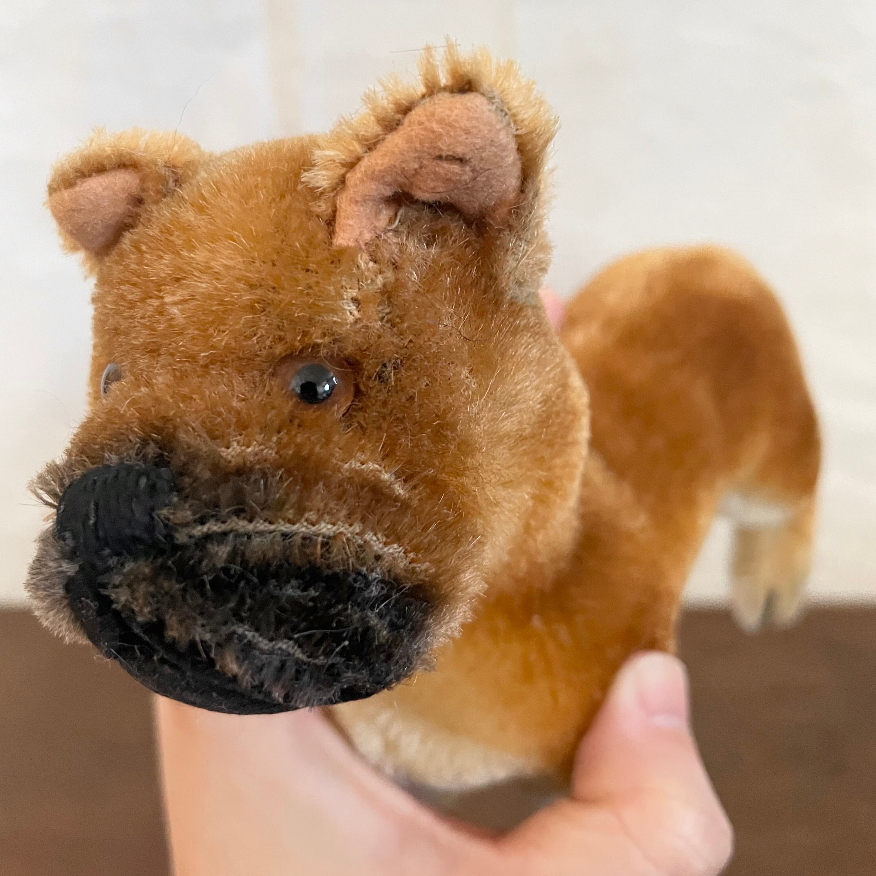 シュタイフ ボクサー犬 ボクサー犬 | tsuitachi craft&brocante