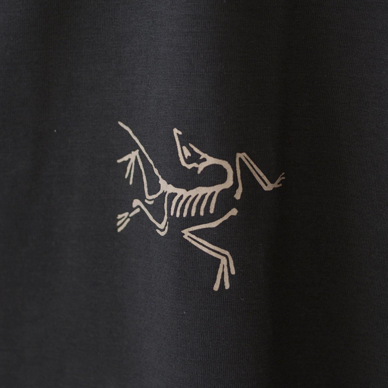 ARC'TERYX [アークテリクス正規代理店] Captive Split SS T-Shirt ...